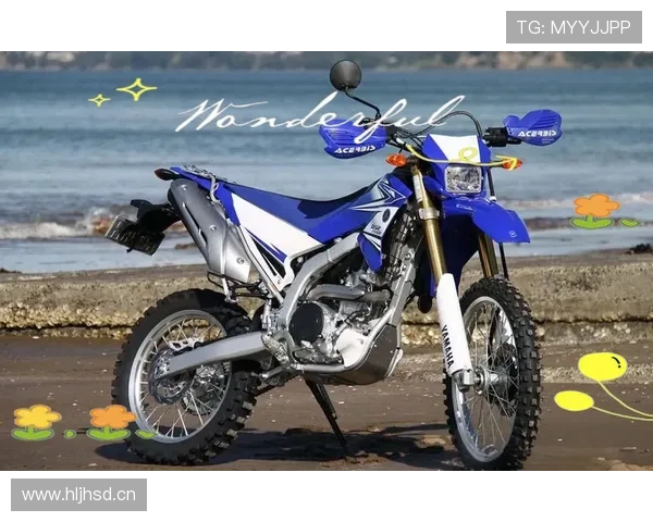 12 款最令人难忘的雅马哈 R 系列摩托车