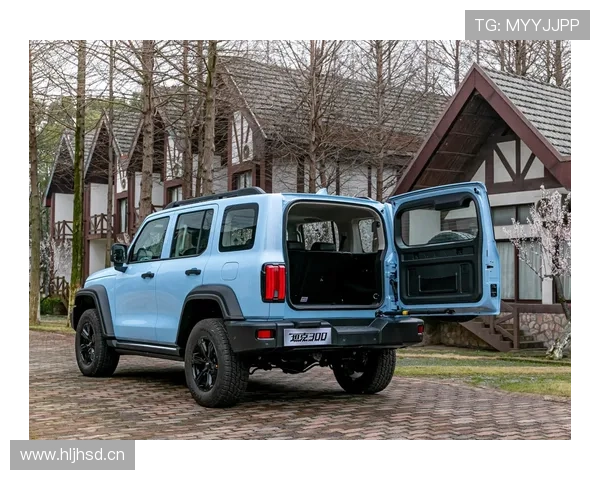 12.69万起硬刚坦克300!2026款BJ40全时四驱+2.0T+8AT齐活了!